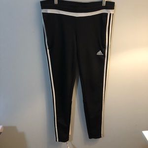 Adidas Pants